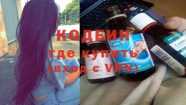 шишки Балахна