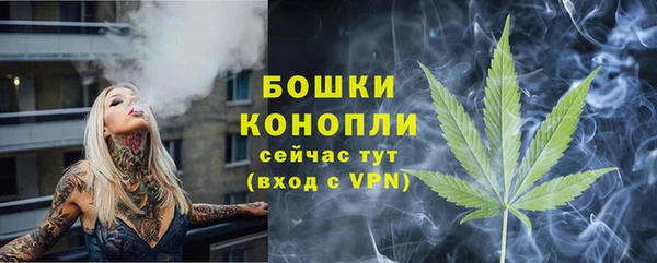 шишки Балахна