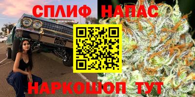 гидра Вышний Волочёк