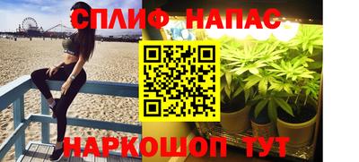 гидра Вышний Волочёк