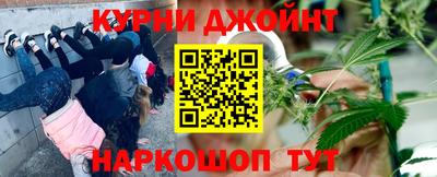 гидра Вышний Волочёк