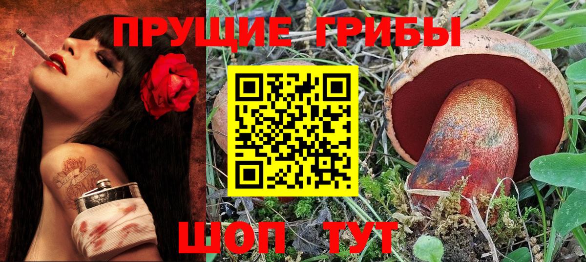 Псилоцибиновые грибы GOLDEN TEACHER Вольск